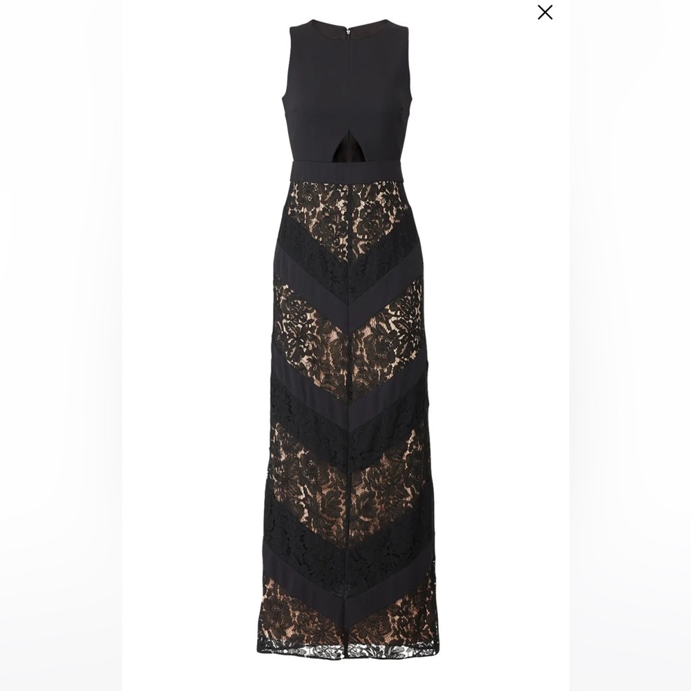 Fame and Partners The Spring Dress, Blake Lace Gown